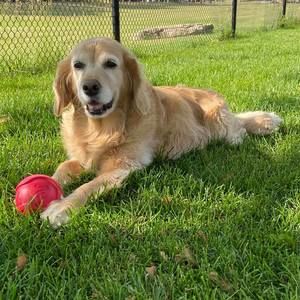 Meet your Posher, Claudia